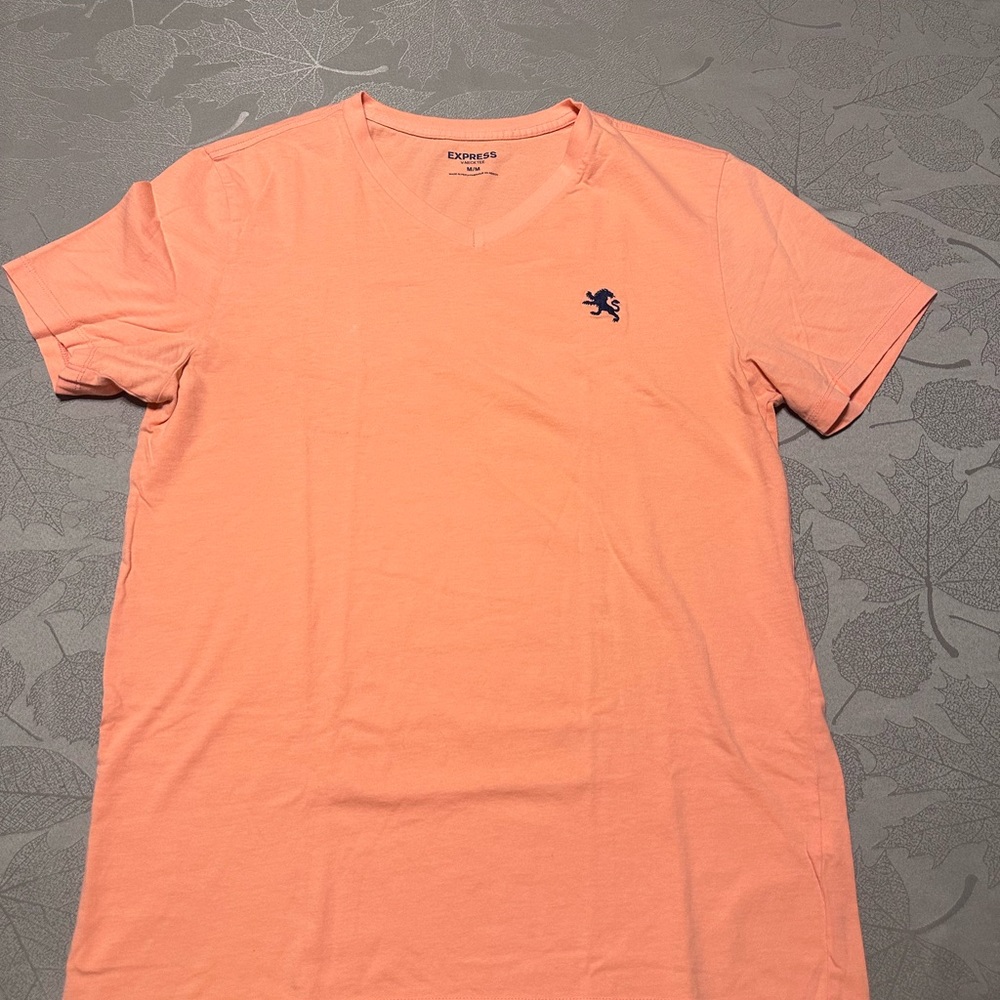 Express Tshirt Mens Medium